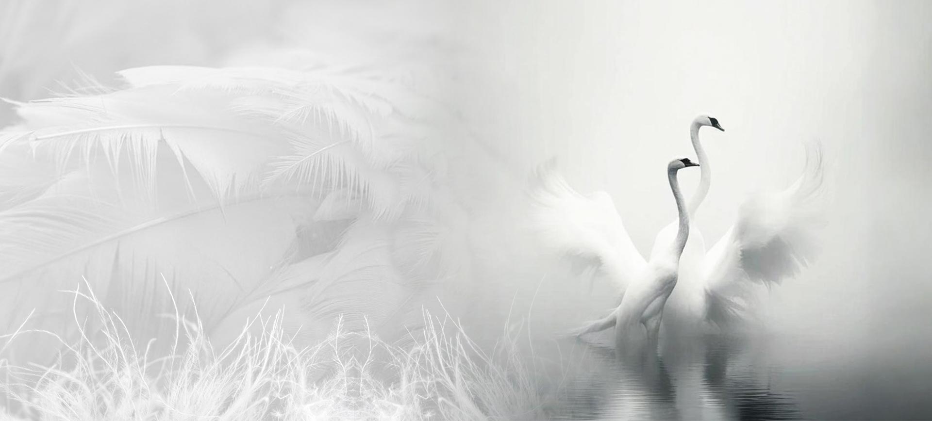 Tá Zhejiang Shengjie Down Products Co., Ltd.