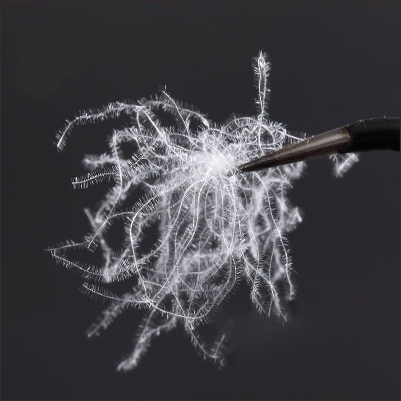 80% Pure White Duck Down