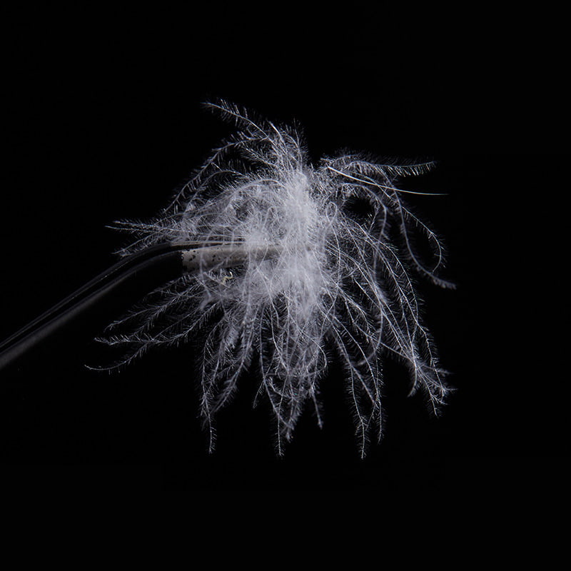 50% Pure White Duck Down