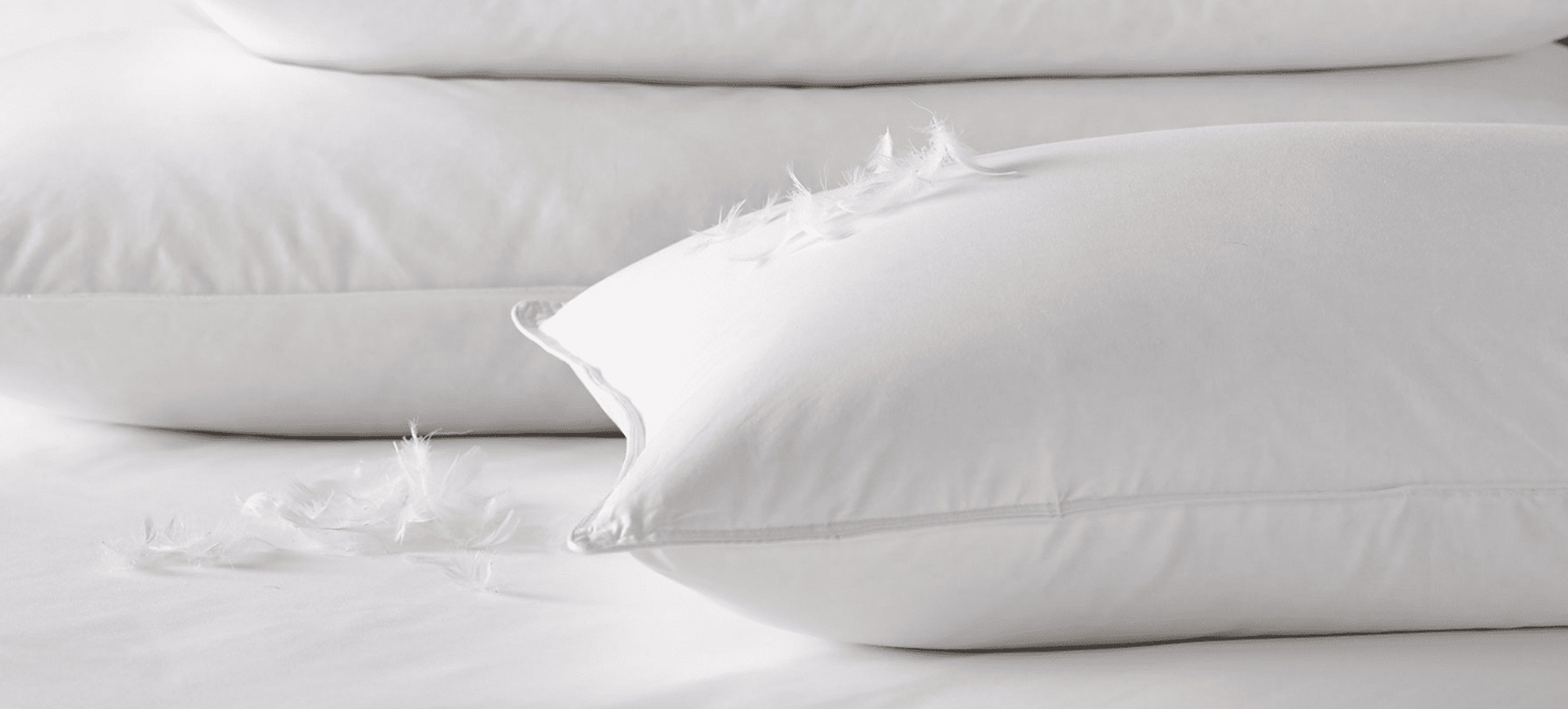 Tá Zhejiang Shengjie Down Products Co., Ltd.