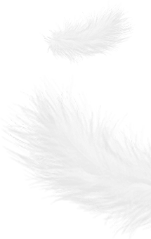 Tá Zhejiang Shengjie Down Products Co., Ltd.