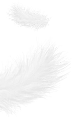 Tá Zhejiang Shengjie Down Products Co., Ltd.