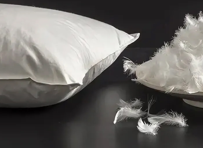 Tá Zhejiang Shengjie Down Products Co., Ltd.