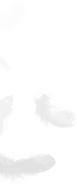 Tá Zhejiang Shengjie Down Products Co., Ltd.